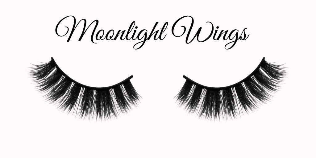 Midnight Wings